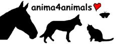 Institut für Tierkommunikation